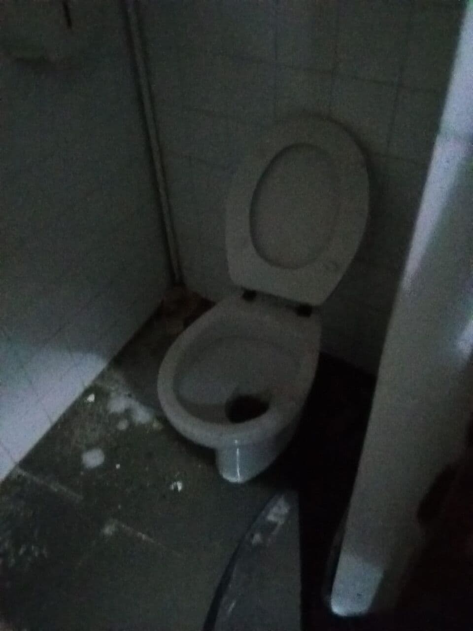 Trabajo real de Aquareparo 31